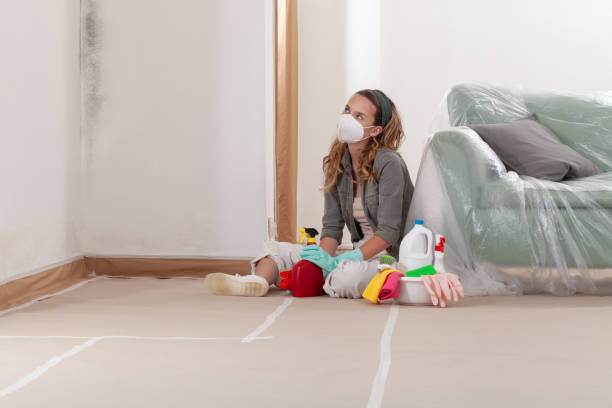 Trusted Black Mold Removal service in Simpson, NC - Cheap Mold Removal